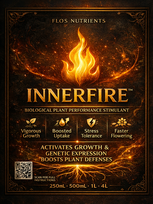 Innerfire