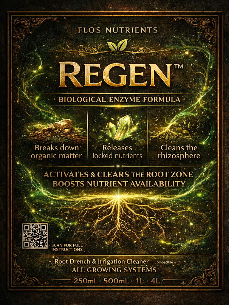 Regen